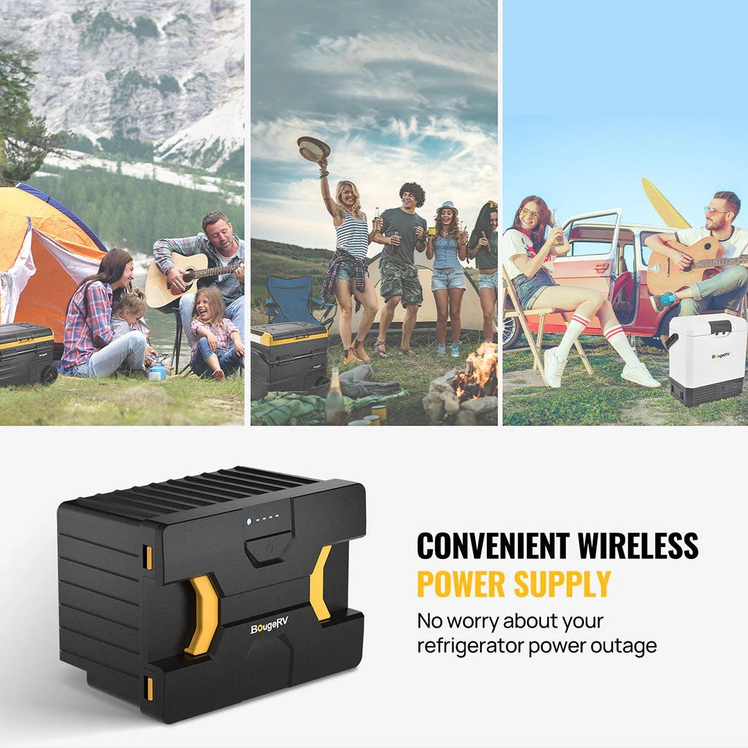 Detachable Battery of Dual-Zone Portable Fridge - Image 6